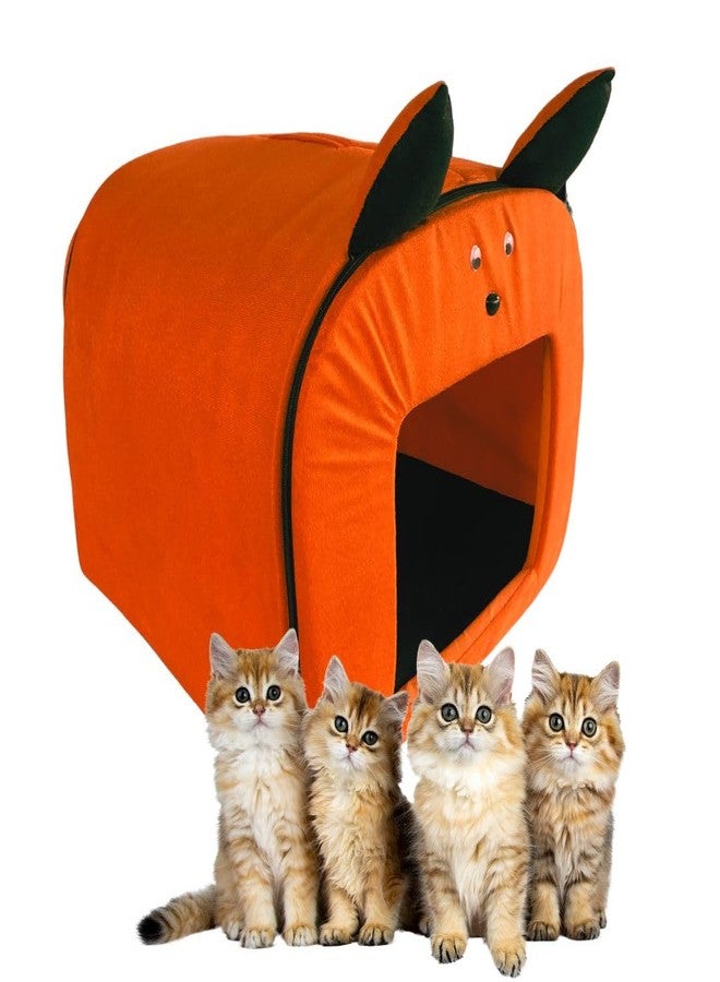 PET FUN Cozy Cat Kennel House with Removable Cushion | Comfortable & Foldable Non-Slip Warm Hut Bed Cave Tent Home Shelter for Pets Puppy Kitten,Cats Dogs and Small Pets (Colour May Vary, Free Size) - Image 5